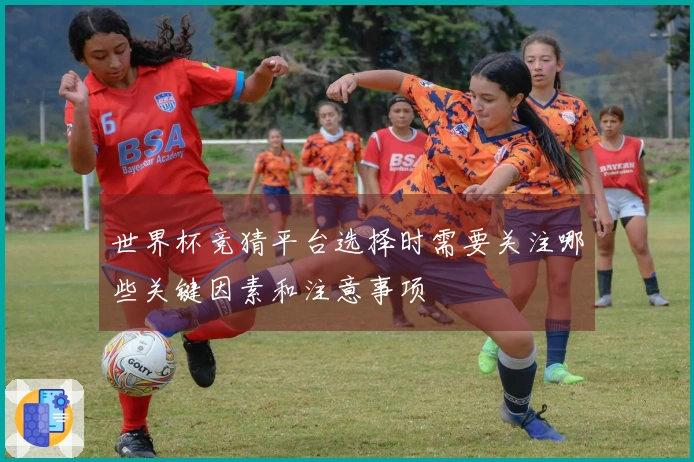 世界杯竞猜平台选择时需要关注哪些关键因素和注意事项