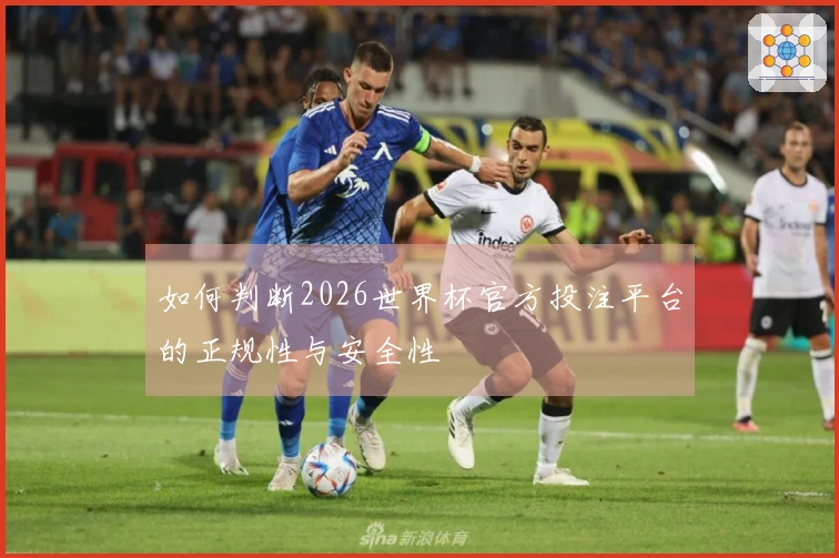 如何判断2026世界杯官方投注平台的正规性与安全性