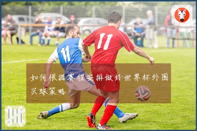 如何根据赛程安排做好世界杯外围买球策略