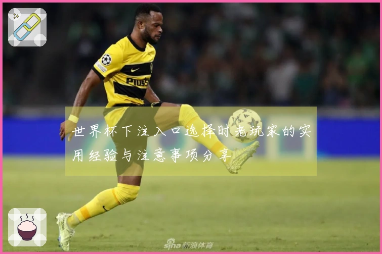 世界杯下注入口选择时老玩家的实用经验与注意事项分享