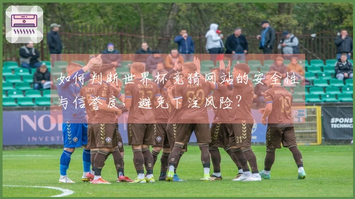 如何判断世界杯竞猜网站的安全性与信誉度，避免下注风险？
